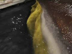 Three kinds of beneficiation methods and processing equipment of gold ore